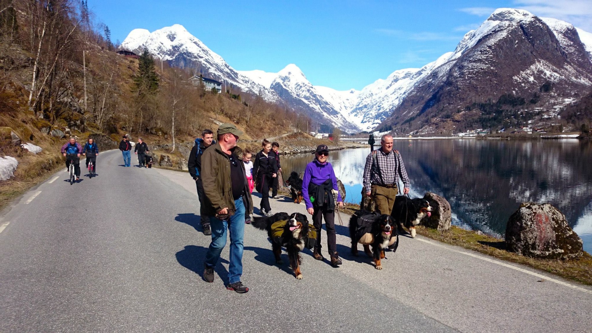 Folk og hunder på tur langs fjorden