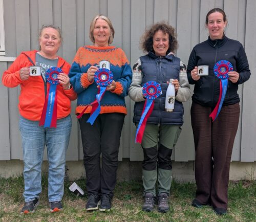 Fire glade klubbmestere